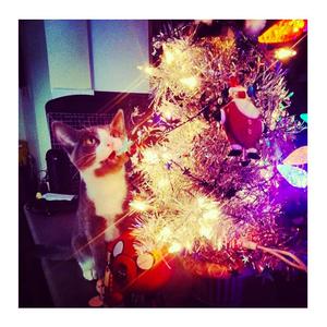 lofi beat 独自一个过圣诞更开心