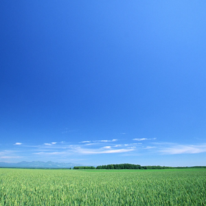 “失明”fakemink*feng typebeat 伴奏