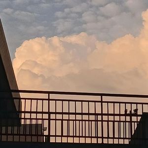 太聪明（cover陈绮贞）