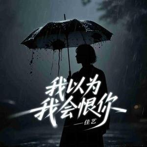 我以为我会恨你 - Dj阿阳版 伴奏