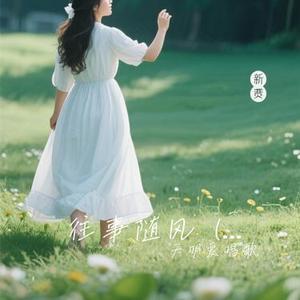 往事随风（Cover 大头针）