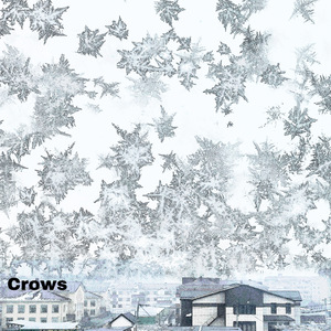 Crows