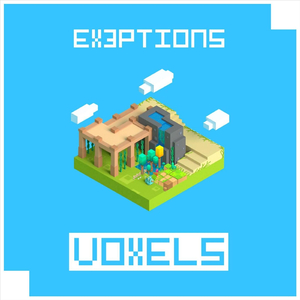 Voxels
