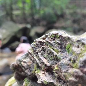 the sun rises again.