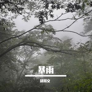 暴雨