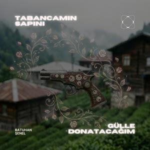 Tabancamın Sapını Gülle Donatacağım
