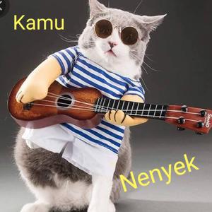 Kamu nenyek 1