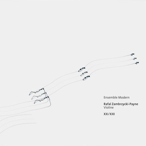 Sonate für Violine und Klavier No. 1: I. Allegro appassionato