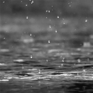 秋夜的雨声虫鸣和钵声Vol6