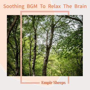 Drifting Through Misty Memories