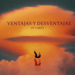 Ventajas y Desventajas
