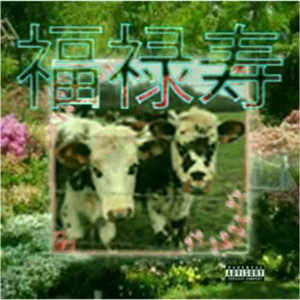 我懒得和你们讲话