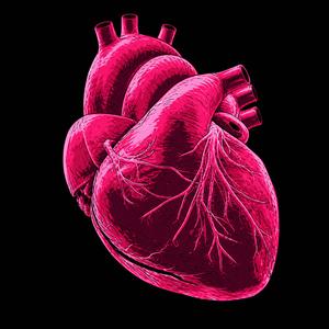 electric heart