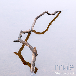 Innate