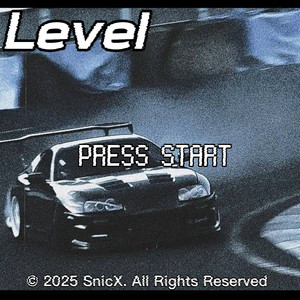 Level