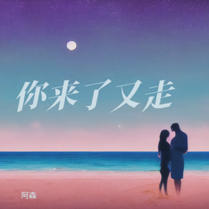 你像风来了又走 伴奏