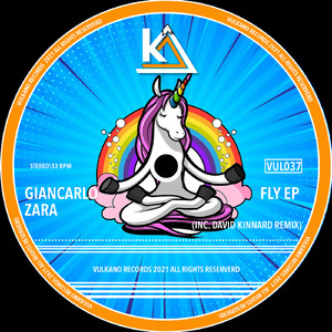 Fly (David Kinnard Remix)