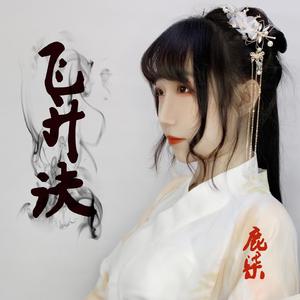 飞升诀（翻唱）