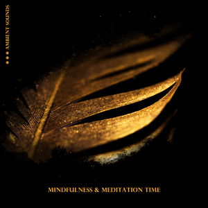 Deep Meditation Deep Sleep