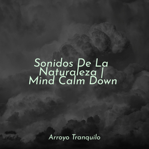 Actividad Sin Límites