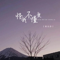 怪我不懂爱 (DJ光音坊版)