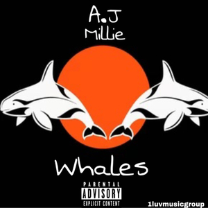 Whales