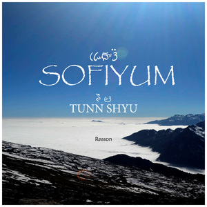 TUNN SHYU (Reason)