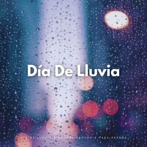 Olfateo En La Serenata De La Lluvia