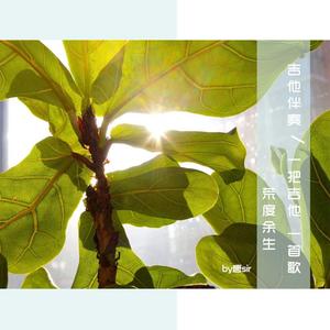 玫瑰【吉他伴奏】（翻自 贰佰）