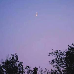 您❆需❀要※的️♡男ø友☆.已˖★˖售-̡̙̙͇̺̤͓̀͜-̧̛̗̕-͏̪̥̩罄