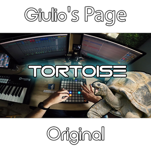 Tortoise