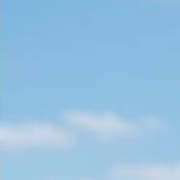 光吻过的誓言花