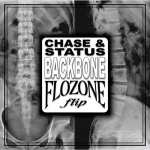 BACKBONE (Flozone Flip)
