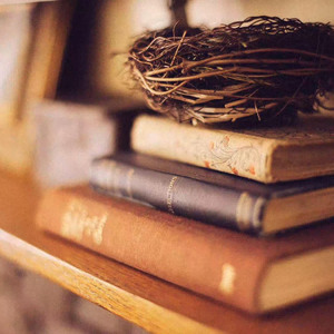 回忆过去 (320CBR)