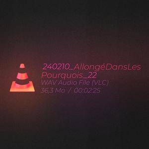 240210_AllongéDansLesPourquois_22