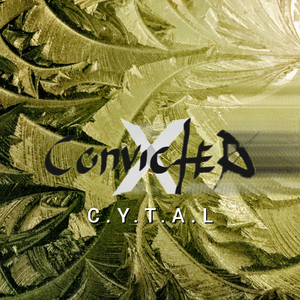 C.Y.T.A.L