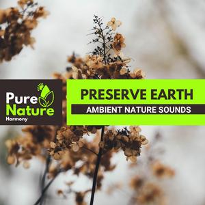 Sit with the Yellowbreasted Chat