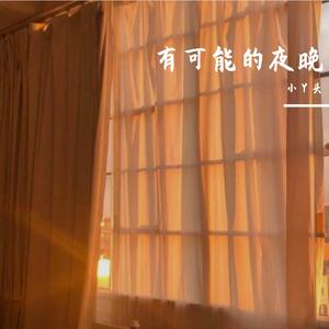 有可能的夜晚_小丫头沈呆呆