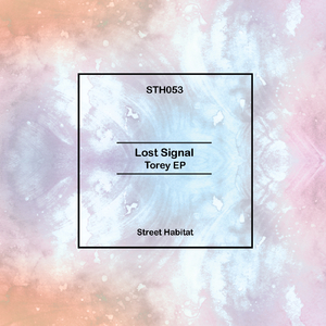 Torey (Original Mix)