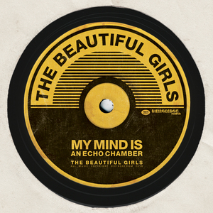 My Mind Is An Echo Chamber (Live At The Enmore)