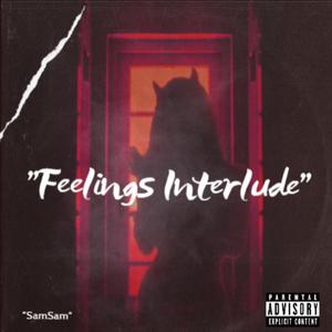 INTRO-Bad Apologies
