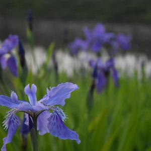 风 （prod by FRESH_ye）