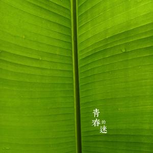 姑娘和我学吉他