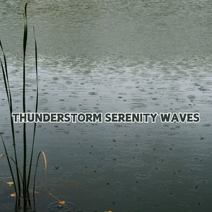 Year-Round Thunder: A Constant Companion, Perfect for Feeling Grounded