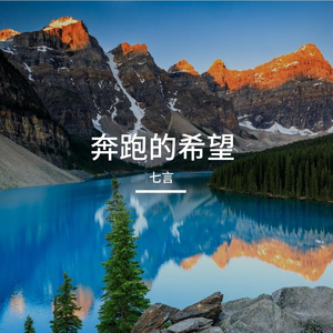 朋友的篮球