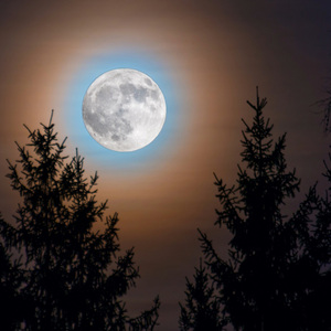 Night Gentle Tranquil Melodies