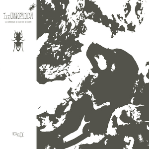 What Frequencies Do To People