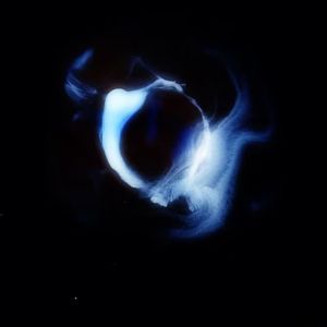 幻梦天鹅
