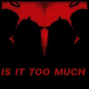 Is It Too Much (feat. Firaag)