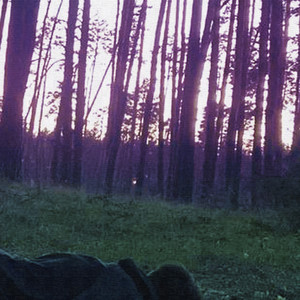 Дрим эвридэй